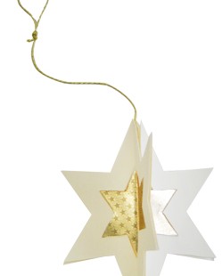 3D Weihnachtsstern