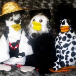 Freaky-Ducks