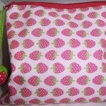 Kosmetiktasche von Anna B.