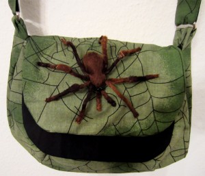 Spinnentasche von Tanja K.