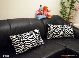 Zebrakissen
