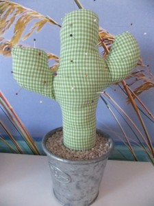 Nadelkaktus_1