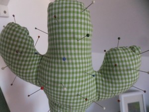 Nadelkaktus_2