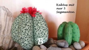 Neue-Sorte2014_08b