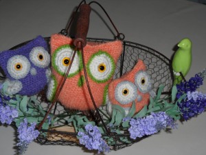 Eulenfamilie 1