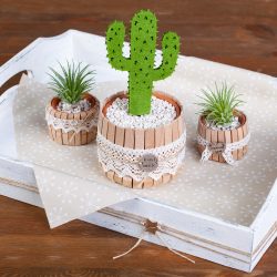 Kaktus Dekoration selber machen