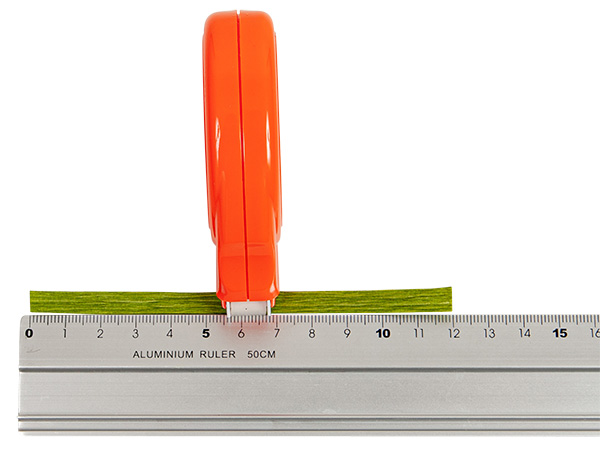 3d-blumenbild-aus-krepppapier_schritt02a