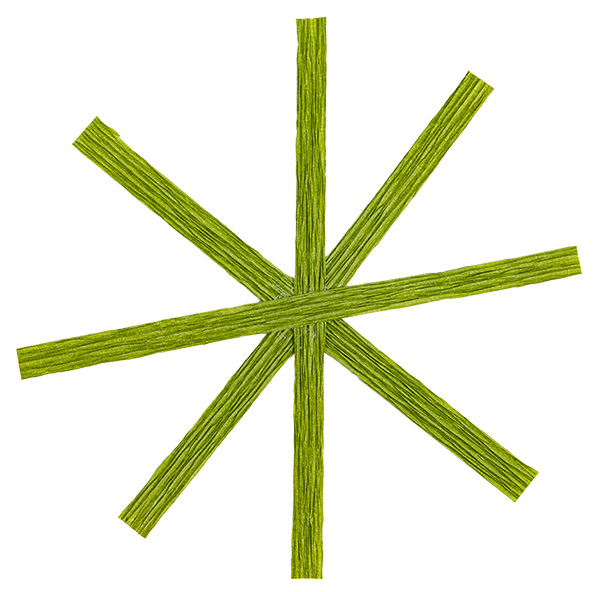 3d-blumenbild-aus-krepppapier_schritt02c