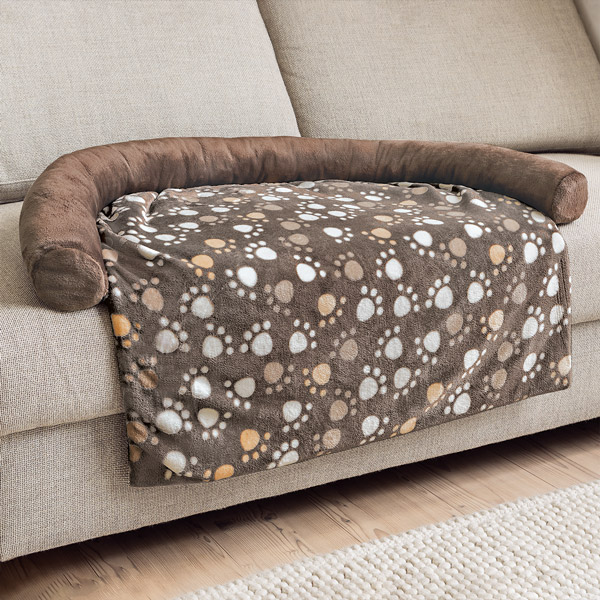 600px_haustierdecke_schmuckbild