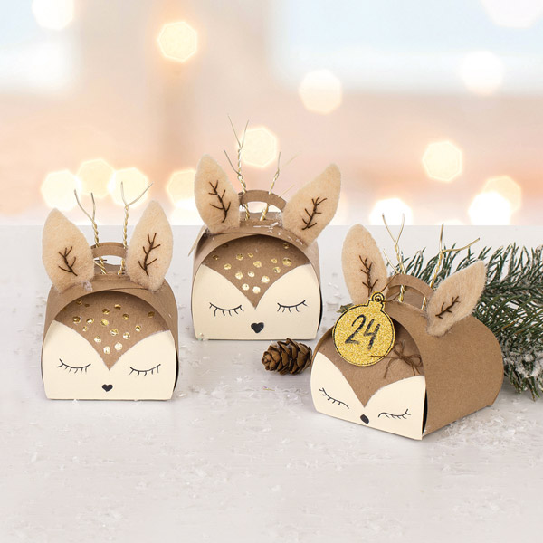 600px_reh_geschenkschachte_schmuckbild