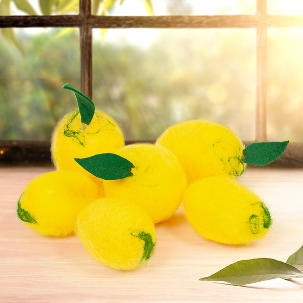 600px_zitronen_filzen_schmuckbild-1