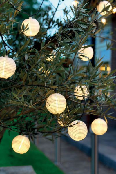 xr:d:DAF_X6Wozv0:4,j:5187442394254474483,t:24031307