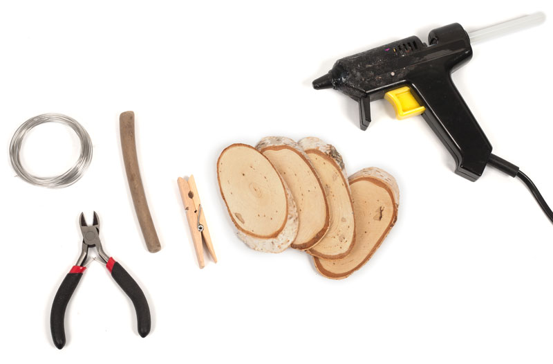 Birkenschmetterlinge_Schritt1_IMG_4583-1