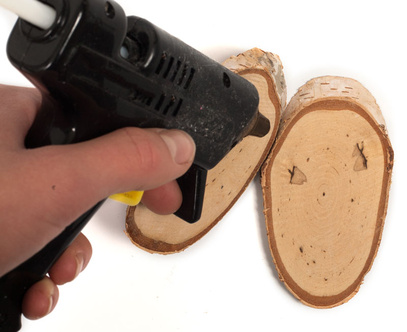 Birkenschmetterlinge_Schritt2_IMG_4585-1