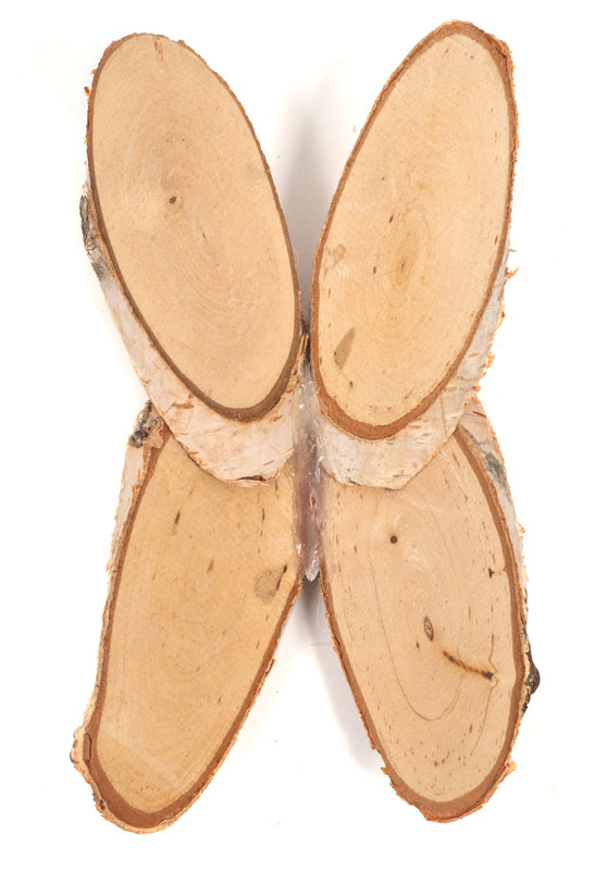 Birkenschmetterlinge_Schritt3_IMG_4591-1