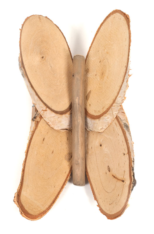 Birkenschmetterlinge_Schritt4_IMG_4592-1