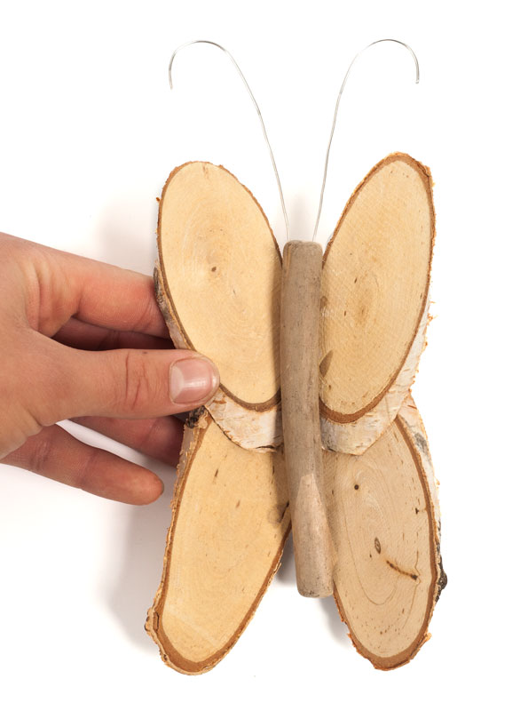 Birkenschmetterlinge_Schritt7_IMG_4602-1