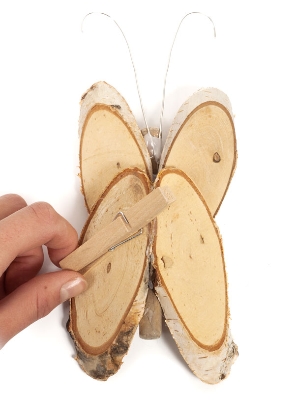 Birkenschmetterlinge_Schritt8_IMG_4604-1