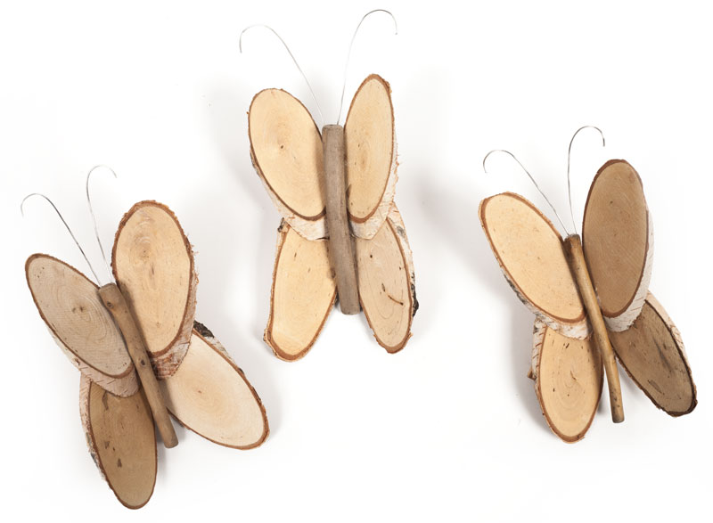 Birkenschmetterlinge_Schritt9_IMG_4611-1