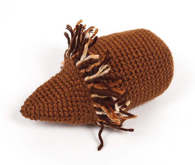 igel_schritt3_img_3857