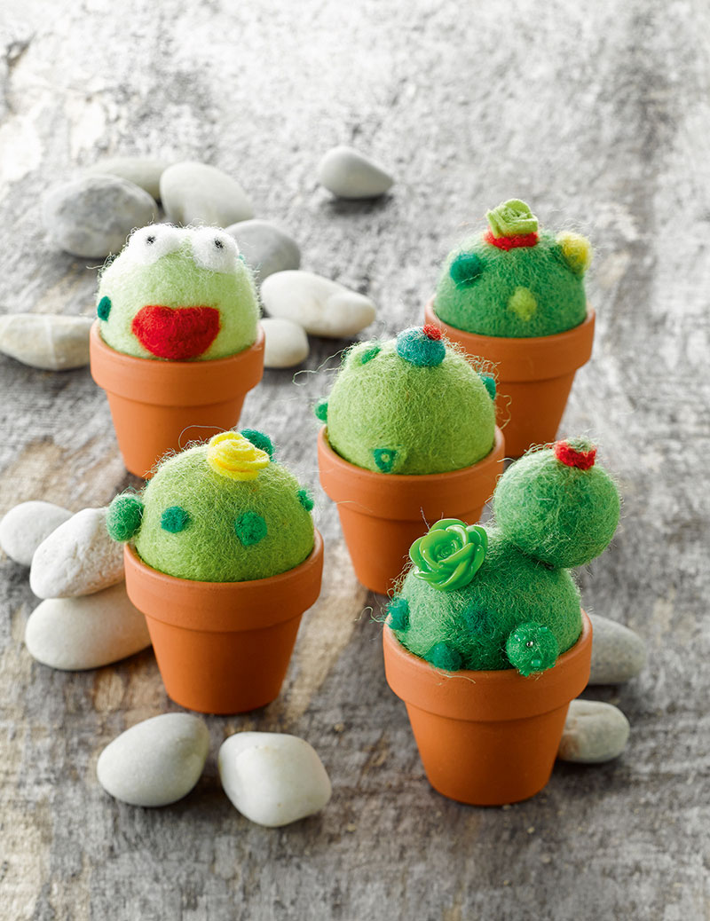 Kakteen_Filzen_upload