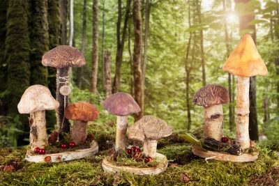 Pilze aus Modelliermasse - Schmuckbild