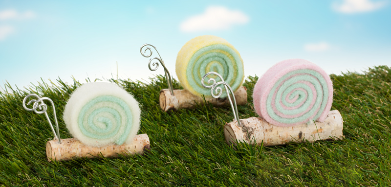 Trendige Schnecken Schmuckbild