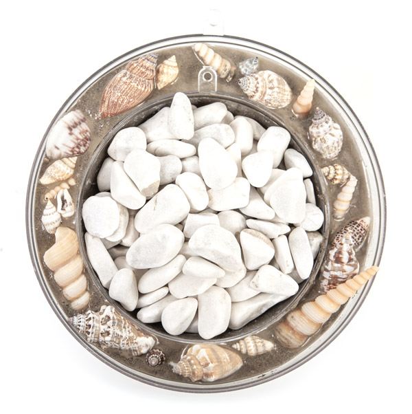 Betonschale mit Muscheln basteln - Schritt 6 Betonschale mit Muscheln basteln - Schritt 6