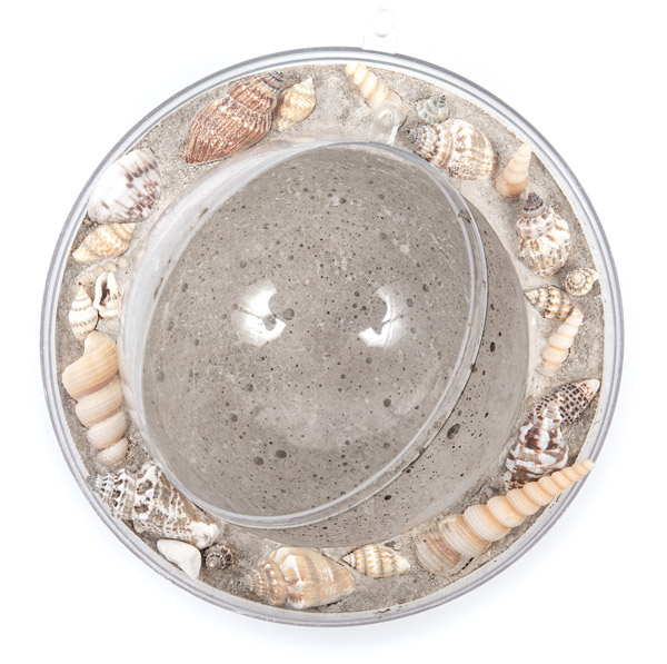 Betonschale mit Muscheln basteln - Schritt 8 Betonschale mit Muscheln basteln - Schritt 8