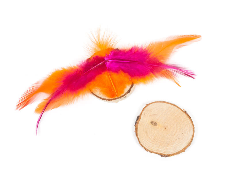 Vögel aus Birkenscheiben - Schritt - 2