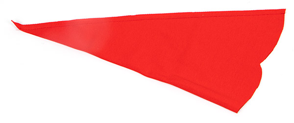 Wichtel aus Birkenscheibe basteln - Schritt 3 Wichtel aus Birkenscheibe basteln - Schritt 3