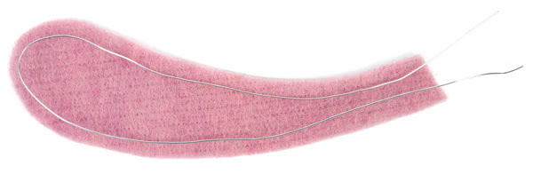 Birkenscheiben-Hasen basteln - Schritt 6