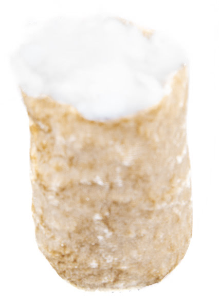 fliegenpilz_wichtel_schritt03