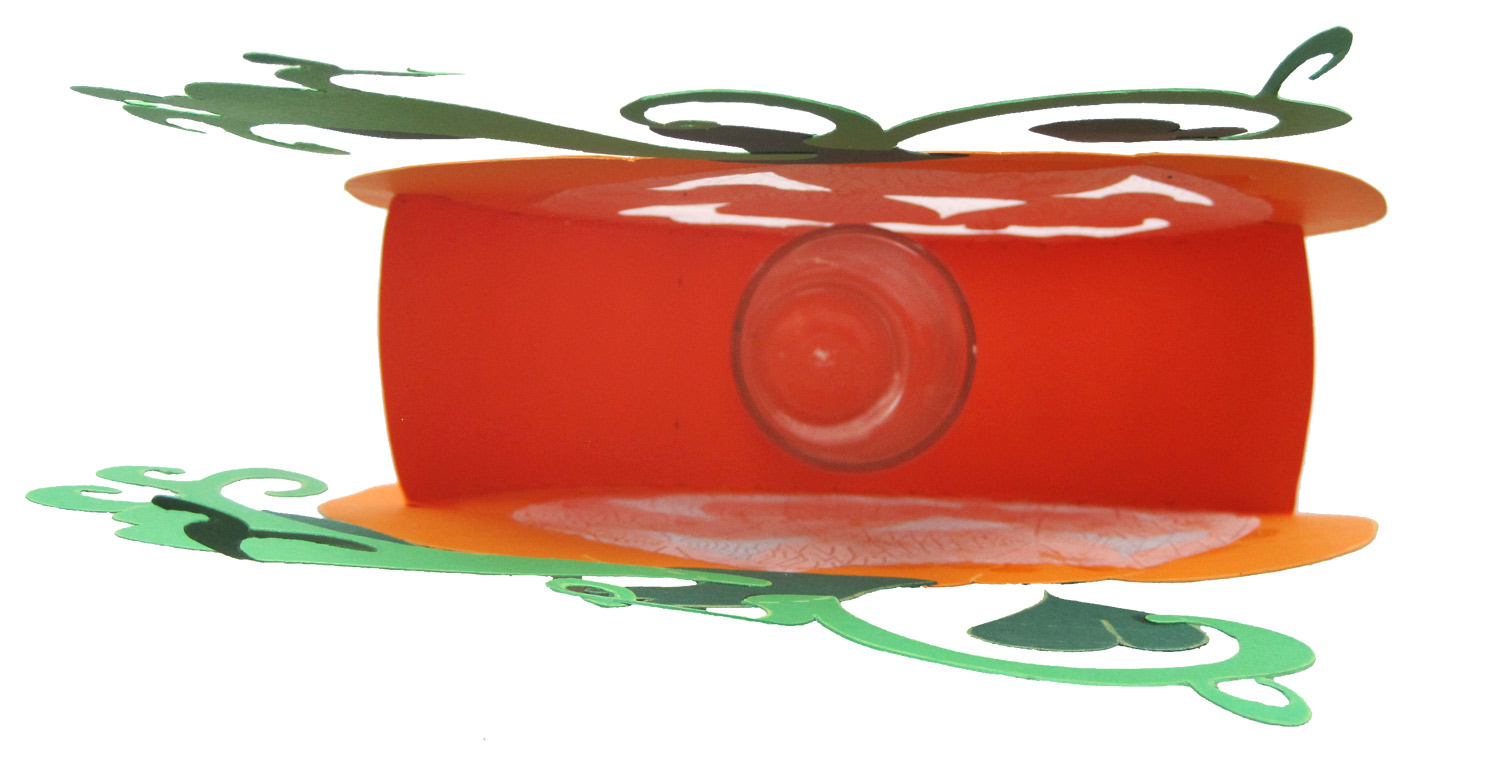 Kürbiswindlicht Schritt 7