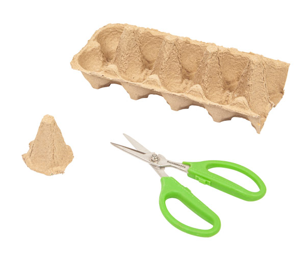 huehner-eierkarton-schritt1-IMG_5478