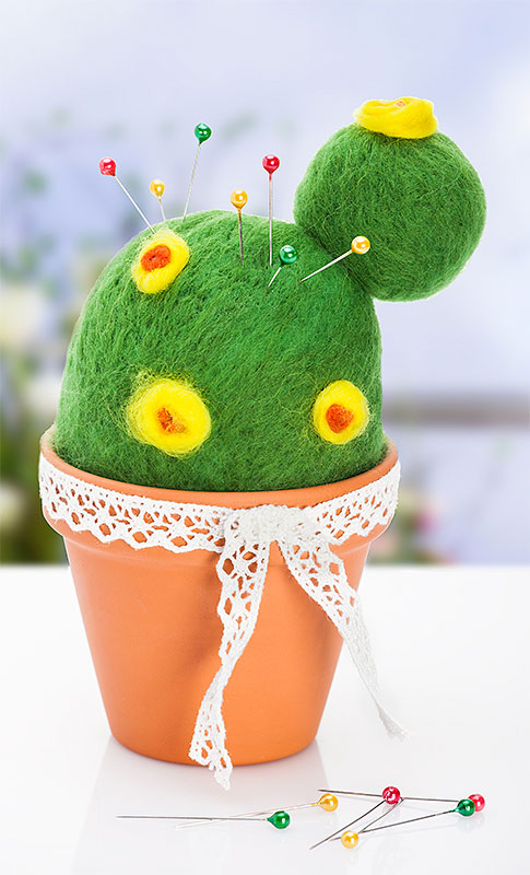 kakteen-trocken-filzen