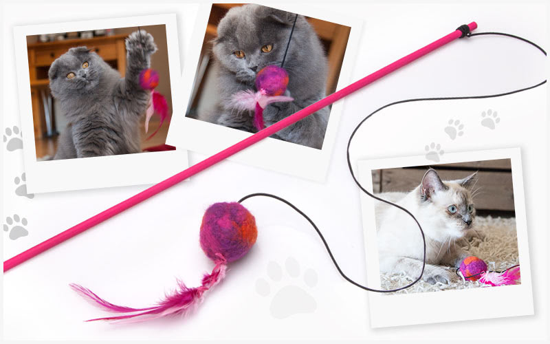 katzenspielzeug-schmuckbild