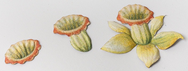 kunststoffei-3d-technik_schritt5