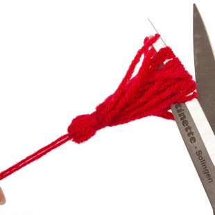 lamakissen-schritt25-img-3378-310×310