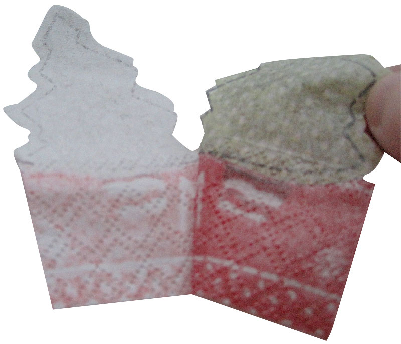 Weihnachtliche Lichttüten Schritt 2