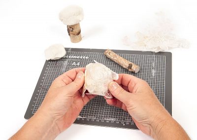 Pilze aus Modelliermasse - Schritt 3