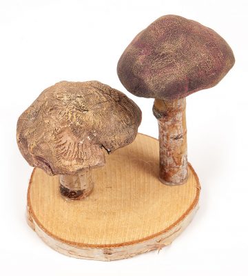 Pilze aus Modelliermasse - Schritt 10