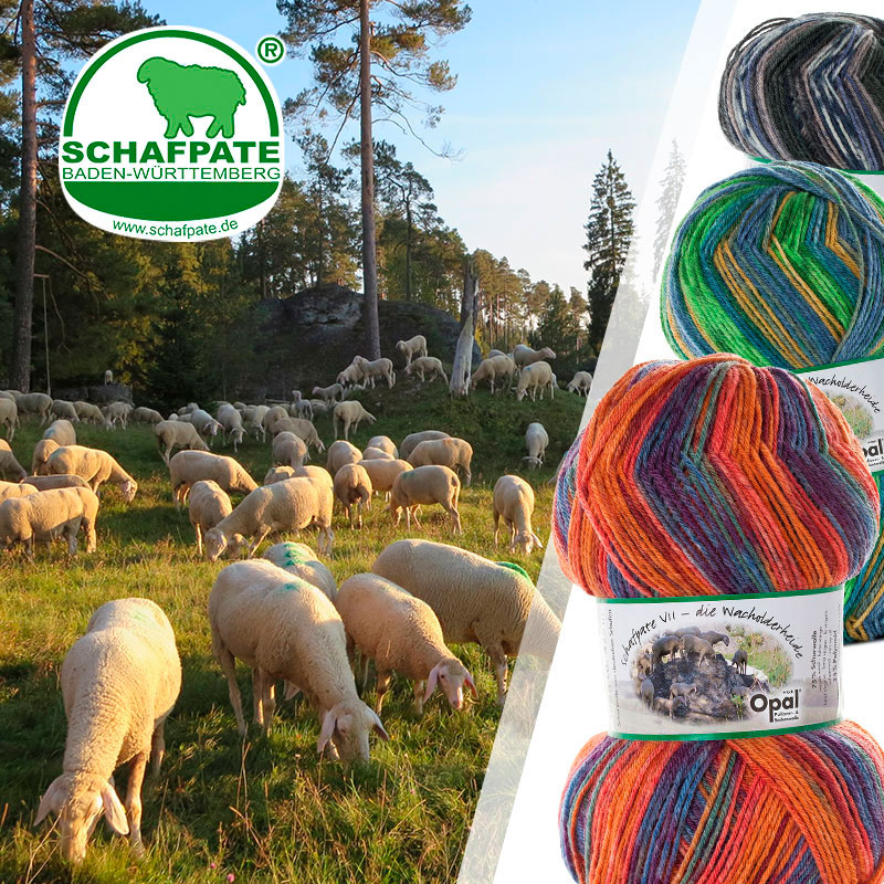 schafpate_tutto_schmuckbild