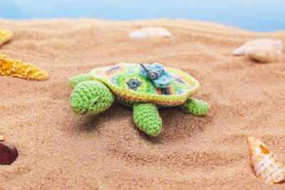 Schildkröte Paula - Schmuckbild