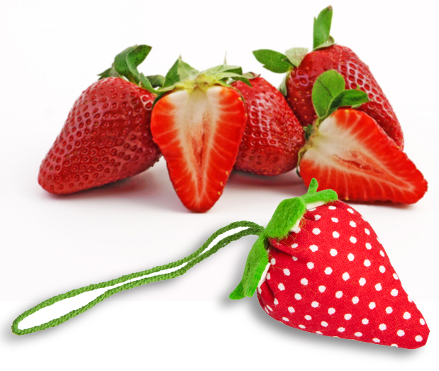 Stofferdbeere nähen