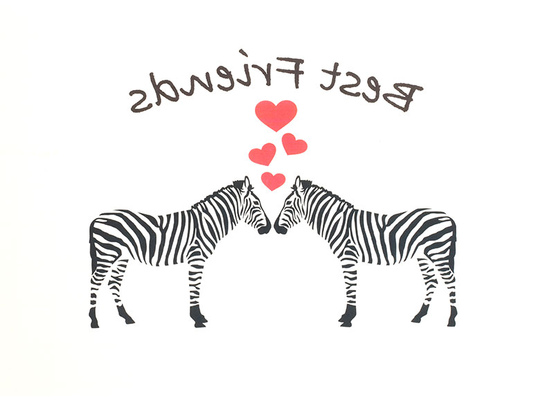 Transferfolie Motiv spiegelverkehrt