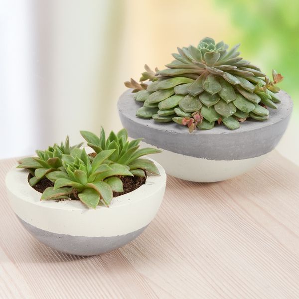 xr:d:DAF2S9Kj5OU:9,j:4938608538689674544,t:23120712