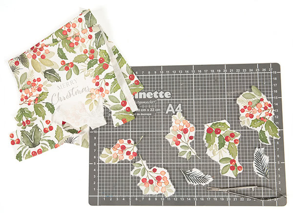 weihnachtssterne_schritt06