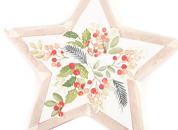 weihnachtssterne_schritt07a