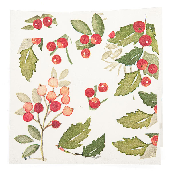 weihnachtssterne_schritt09